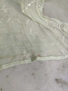 Embellished Net Dupatta