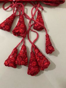 combo of 2 (bra and blouse)