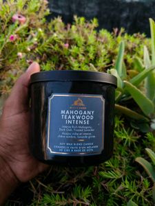 White Barn Mahogany Teakwood Intense Candle