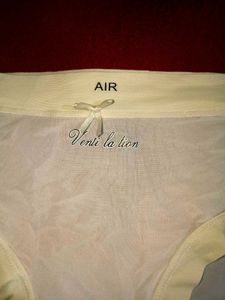Sheer Lace Trim Briefs
