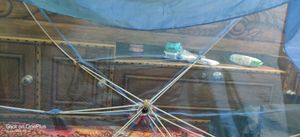 Mosquito Umbrella net for Infants Baby (0 to 18 Mo