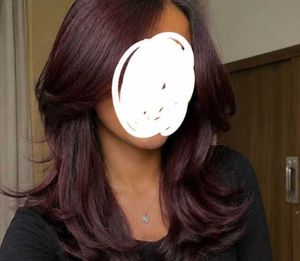 Garnier hair colour plum red