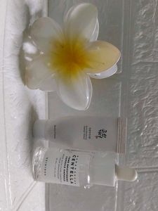 beauty of Joseon and CENTELLA skin1004
