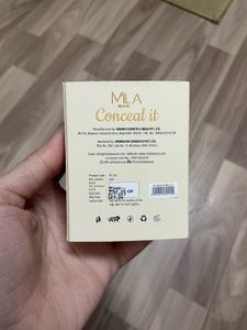 Pot Concealer With Brush