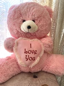 Pink Plush Teddy Bear