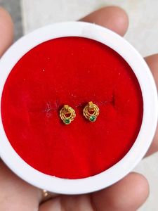 Beautiful New Ring Type Earrings Small