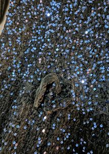 Sparkling Blue Sequin Ethnic Gown