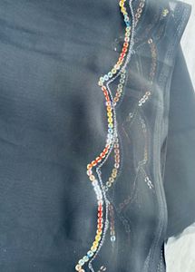 Elegant Black Saree with Colorful Border