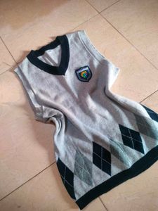 Argyle Sweater Vest 🦺🧙🧋