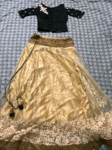 Elegant Lehenga Choli Set