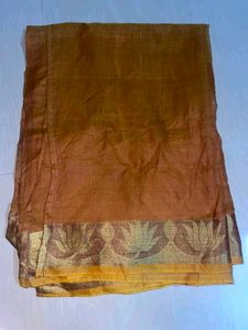 Elegant Brown Saree with Gold Border