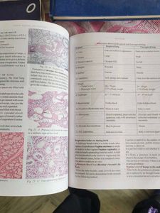 Forensic Medicine &amp; Toxicology 4th Edition