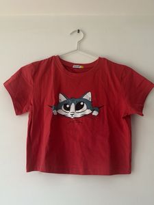 Watermelon Coloured Cropped Graphic Tee