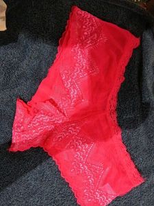 beautiful lace briefs