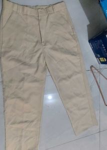 Classic Beige Casual Pants