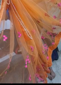 Net Embroidery Sarees
