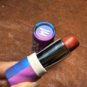 🤎🐻Vibrant Brown Lipstick Case