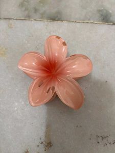 Colorful Flower Hair Clips (4)