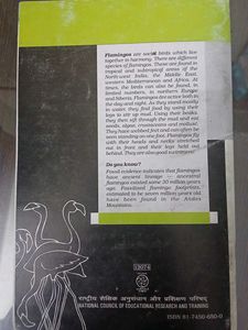 Flamingo Textbook for Class XII