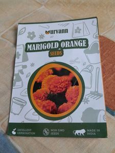 WINTER FLOWERING PLANTS-MARIGOLD ORANGE SEEDS
