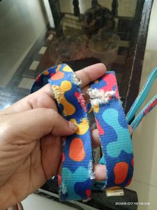 Free - Colorful Dog Leash