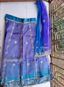 Fancy Work Lehenga choli (9-11 Years)