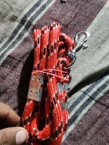 Red Rope Dog Leash