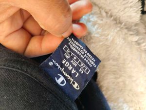 Champion Fleece Hoodie