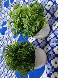 Artificial Green Plant in White Pot