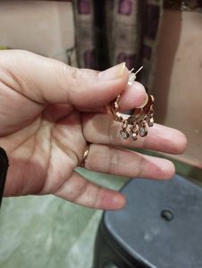 Anti Ternish Earings