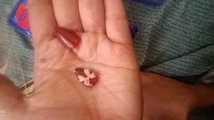 Empress Curve 100 Nails