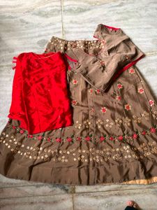 Embroidered Lehenga Choli Set