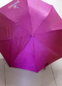 Pink Umbrella