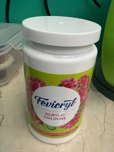 Fevicryl Acrylic Colours Pot