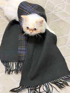 Cozy Plaid Scarf
