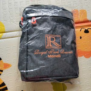 Men Grey Royal Park Resorts Sling Bag