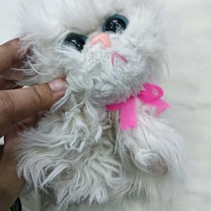 Cute Fluffy🤎 White Kitten Plush Toy