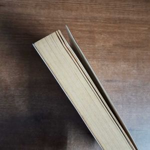 The Subtle Knife by Philip Pullman