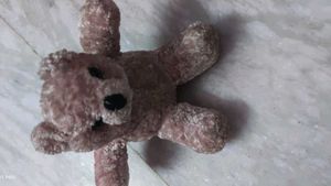 combo of soft toys
