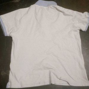 Premium Striped Polo T-Shirt