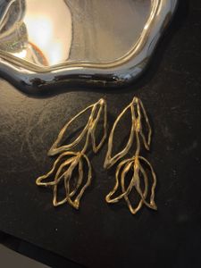 Combo of 2 Earrings (Chic Statement)