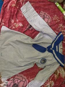Lucknow Public school top