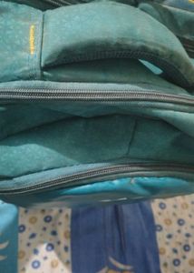 Wildcraft Teal Compass Backpack