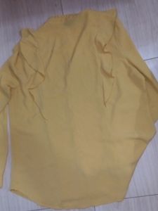Mustard Top With Long Sleeves