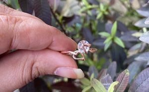 Ring 💍