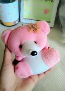 Cute Pink Teddy Bear Toy 🧸