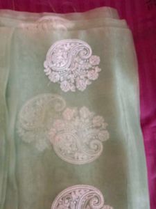 Elegant Pastel Green Saree