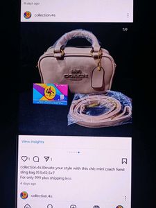 Chic Mini Coach