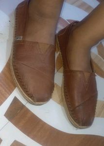 Toms Bellies