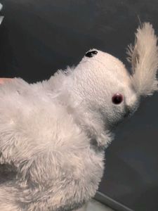 Soft Rabbit Toy